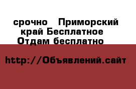 срочно - Приморский край Бесплатное » Отдам бесплатно   